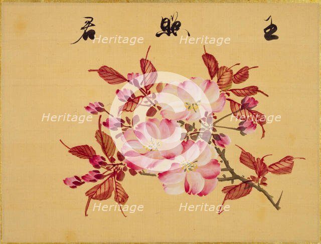 From the Sketch Book of Sakura (Cherry Blossoms), Between 1830 and 1853. Creator: Sakamoto, Konen (1800-1853).