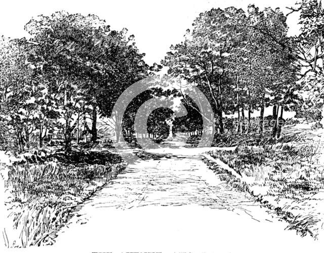 The Boswell Centenary: The Avenue, Auchinleck, 1895. Creator: Unknown.