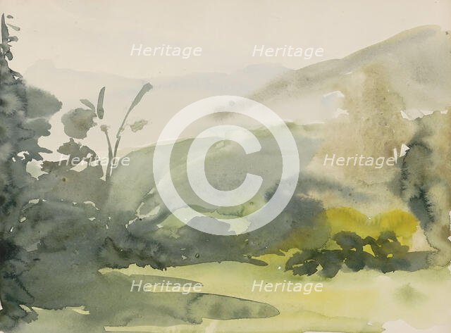 Landscape with trees, 1865-1913. Creator: Abrahamina Arnolda Louisa Hubrecht.