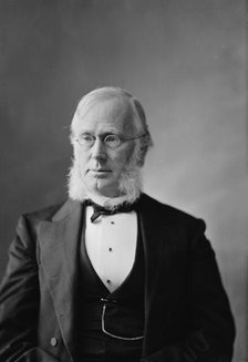 Senator Hoar of Mass., between 1870 and 1880. Creator: Unknown.