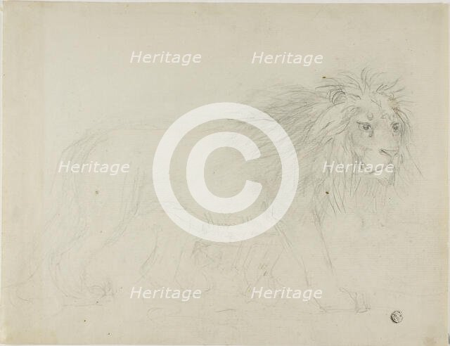 Lion, n.d. Creator: Sawrey Gilpin.