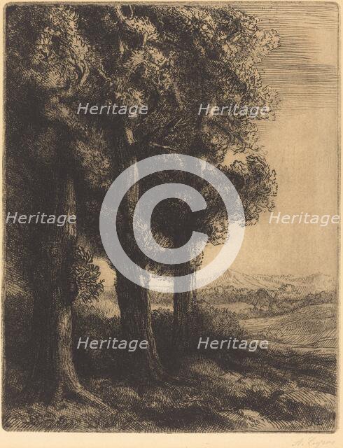 Corner of a Wood (Coin d'un bois). Creator: Alphonse Legros.