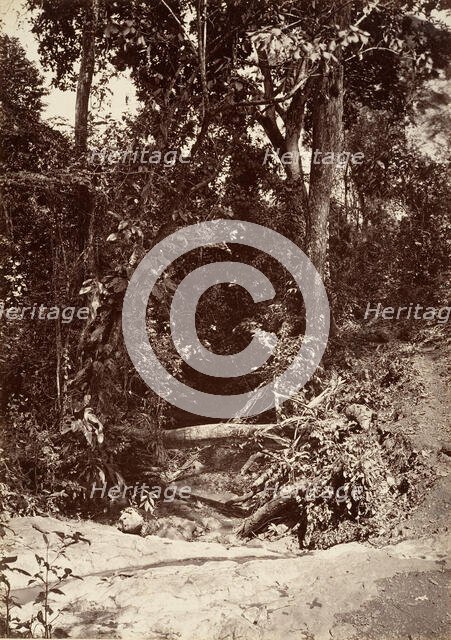 Tropical Scenery, The Brook El Bano, Chipigana, 1871. Creator: John Moran.