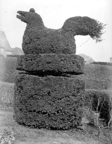 Sitting bird topiary at Sedlescombe, East Sussex, 1916. Artist: Nathaniel Lloyd