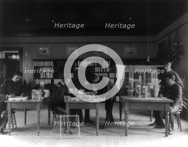 Hampton Institute, Hampton, Va. - teacher and five students studying insects in the..., 1899 or 1900 Creator: Frances Benjamin Johnston.