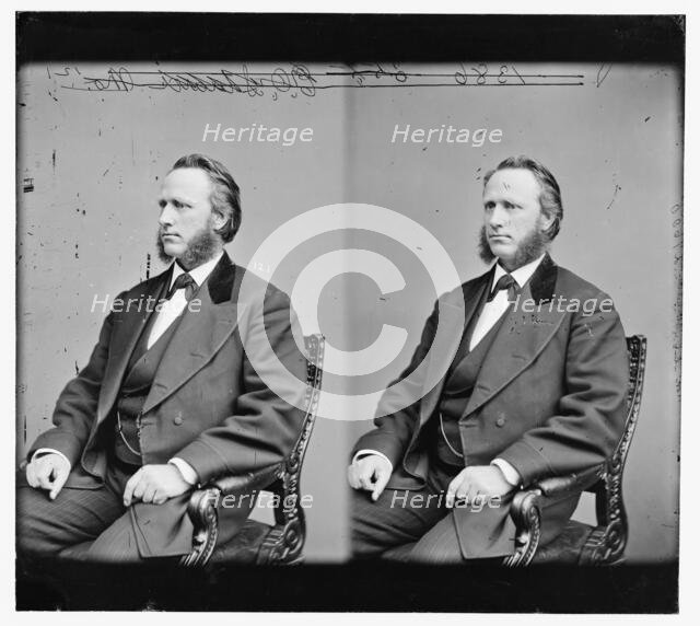 Edwin Obed Stanard of Missouri, between 1865 and 1880. Creator: Unknown.