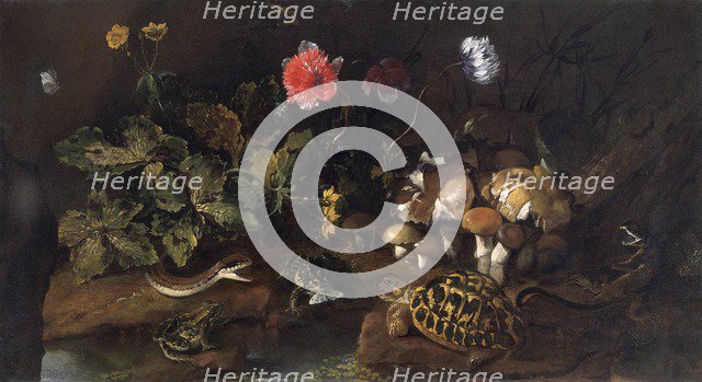 'Still life with a snake, frogs, tortoise and lizard', 1656-1673. Artist: Paolo Porpora