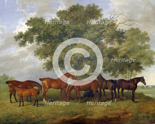 'The Theobald Stud', 1825. Artist: James Barenger.