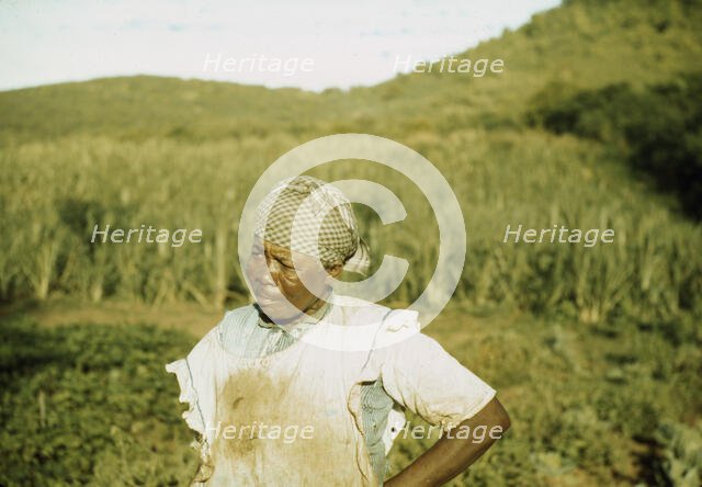 FSA - Tenant Purchase borrower? in her garden, Puerto Rico, 1941 or 1942. Creator: Jack Delano.