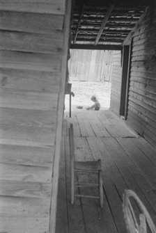 Dog run of Floyd Burroughs' home. Hale County, Alabama, 1936. Creator: Walker Evans.