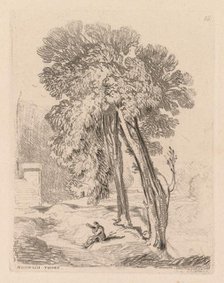 Liber Studiorum: Plate 18, Trees at Norwich Thorp, Norfolk, 1838. Creator: John Sell Cotman (British, 1782-1842).