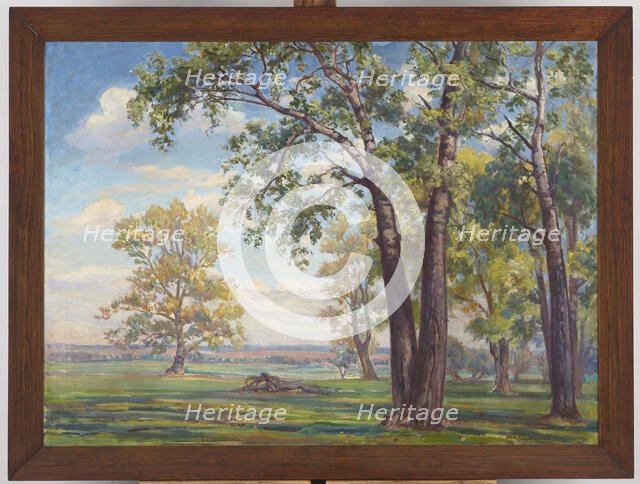 Forest Landscape, c1926. Creator: Ignacy Pienkowski.