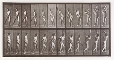 Animal Locomotion. An Electro-Photographic Investigation of Consecutive Phases of Animal ..., 1880s. Creator: Eadweard J Muybridge.