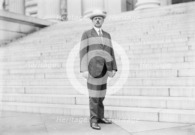 William P. G. Harding, 1914. Creator: Harris & Ewing.