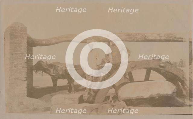 'Sialkot', late 19th-early 20th century.  Creator: Unknown.