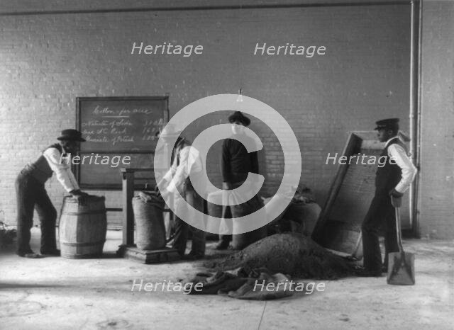Four young men mixing fertilizers, Hampton Institute, Hampton, Va., 1899 or 1900. Creator: Frances Benjamin Johnston.