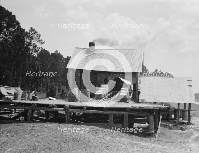 Turpentine still in the Piney Woods near Valdosta, Georgia, 1937. Creator: Dorothea Lange.