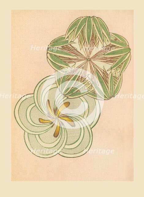 Illustration from "Shin bijutsukai", 1901-1902. Creators: Sekka, Kamisaka (1866-1942), Korin, Furuya (1875-1910)