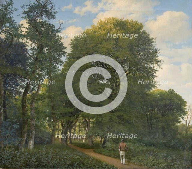 Forest near Charlottenlund, evening, 1818-1831. Creator: Heinrich Christian August Buntzen.