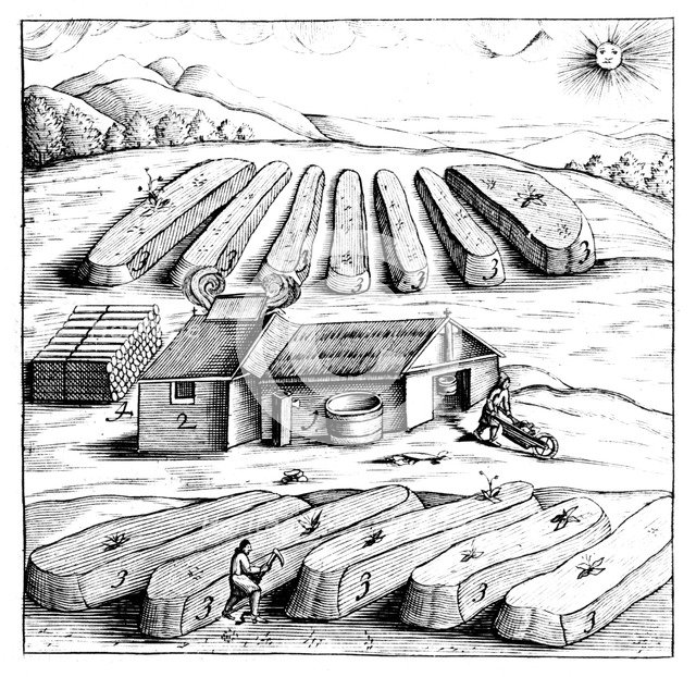 Production of saltpetre (nitre, potassium nitrate, or KN03), 1683. Artist: Unknown