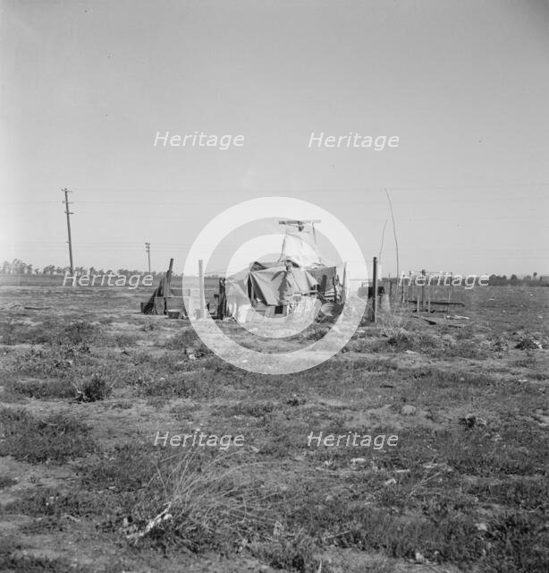 Squatter camp, Patterson, California , 1939. Creator: Dorothea Lange.