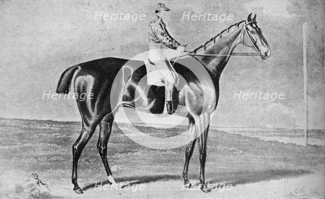 'Blacklock', 1814-1831, (1911). Artist: Unknown.