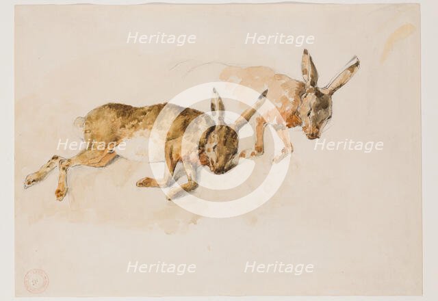 Two Studies of a Hare, between 1840 and 1876. Creator: Eugene Fromentin.