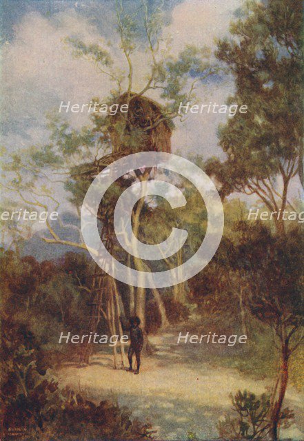 'Melanesian Tree-House', 1924. Artist: Unknown.