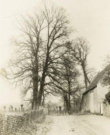 Kelmscott Manor: Road and Entrance, 1896. Creator: Frederick Henry Evans.