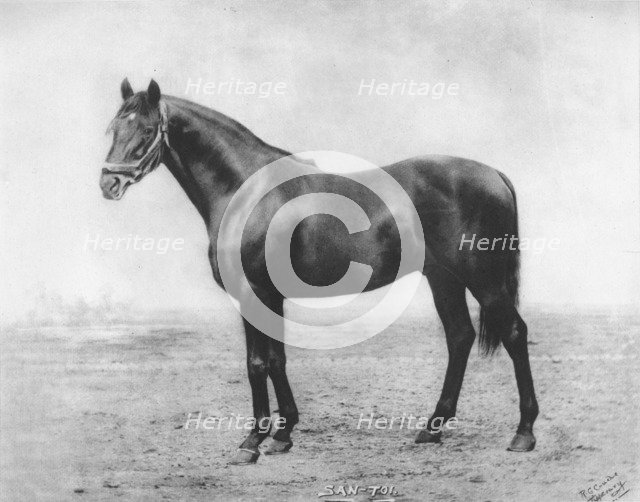 'San-Toi', 1911. Artist: Unknown.