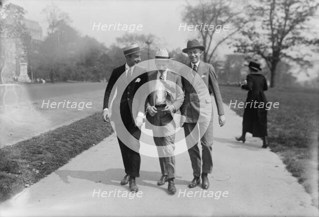 All Stars, between c1915 and c1920. Creator: Bain News Service.