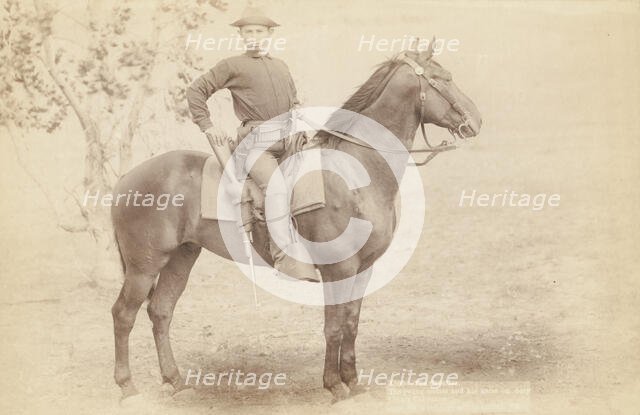 The Cavalier The young soldier and his horse on duty [a]t camp Cheyenne [] /, 1890. Creator: John C. H. Grabill.