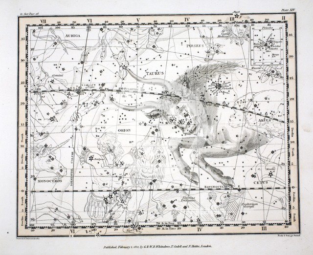 The Constellations (Plate XIV)Taurus, 1822.