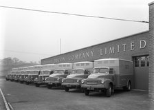 Bedford delivery lorries at the Danish Bacon Co, Kilnhurst, South Yorkshire, 1957.  Artist: Michael Walters
