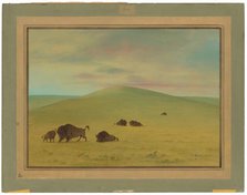 American Pasturage - Prairies of the Platte, 1861/1869. Creator: George Catlin.