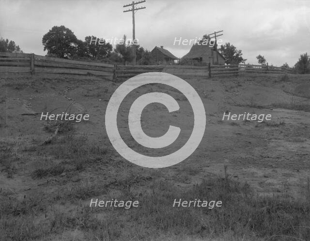 Erosion, Greene County, Georgia, 1937. Creator: Dorothea Lange.