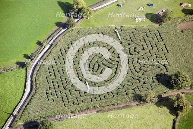 Maize Maze, Jowett House Farm, Cawthorne, Barnsley, South Yorkshire, c2015. Artist: Dave MacLeod.