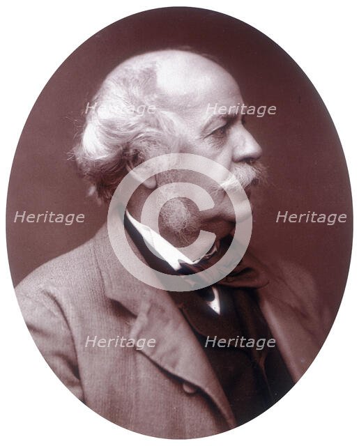 Sir Henry Creswicke Rawlinson, British soldier and orientalist, 1882. Creator: Lock & Whitfield.