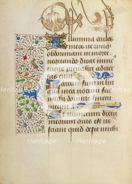 Decorated Text Page; Prayer Book of Charles the Bold, 1469. Creator: Unknown.