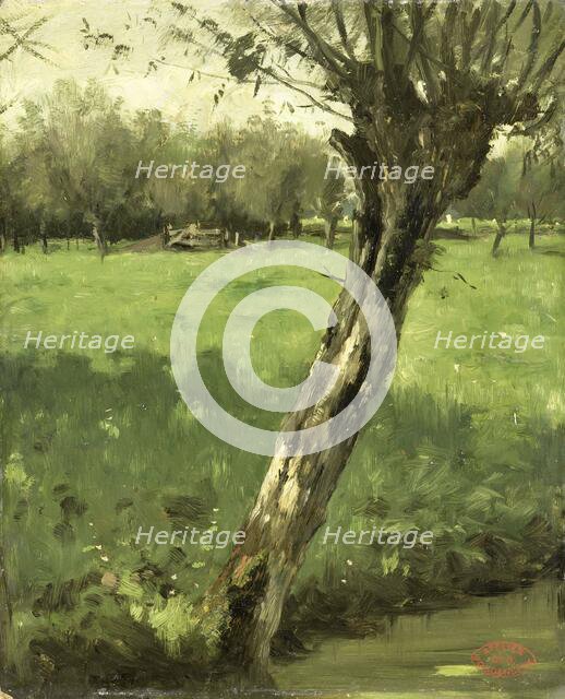 The Willow, c.1873-c.1903. Creator: George Poggenbeek.