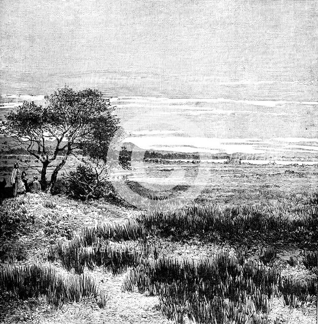 Agha Valley, Central Pampa, Argentina, 1895. Artist: Unknown