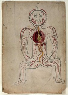 The viscera and the venous system, (between 1800 and 1899?). Creator: Unknown.