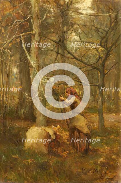 In the Woods at Muthill, Perthshire, 1880 - 1886. Creator: James Lawton Wingate.