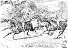 Advertisement for Elliman's Royal Embrocation, 1895.  Creator: Unknown.