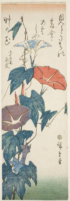 Morning Glories, c. 1840s. Creator: Ando Hiroshige.