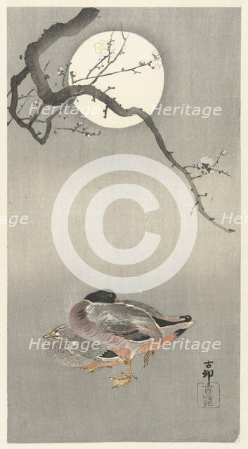 Ducks at full moon. Creator: Ohara, Koson (1877-1945).