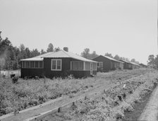 Cabins at the Delta cooperative farms, Hillhouse, Mississippi, 1937. Creator: Dorothea Lange.