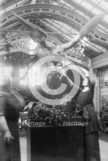 Helen Keller, 1913. Creator: Bain News Service.