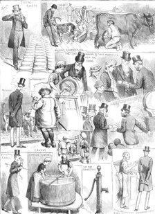 The Dairy Show at the Agricultural Hall, Islington, 1883. Creator: Unknown.