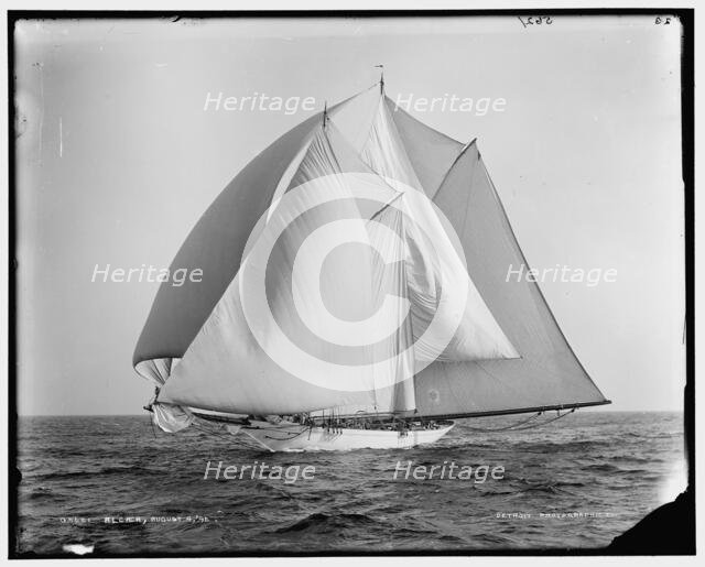 Alcaea, 1892 Aug 4. Creator: Unknown.